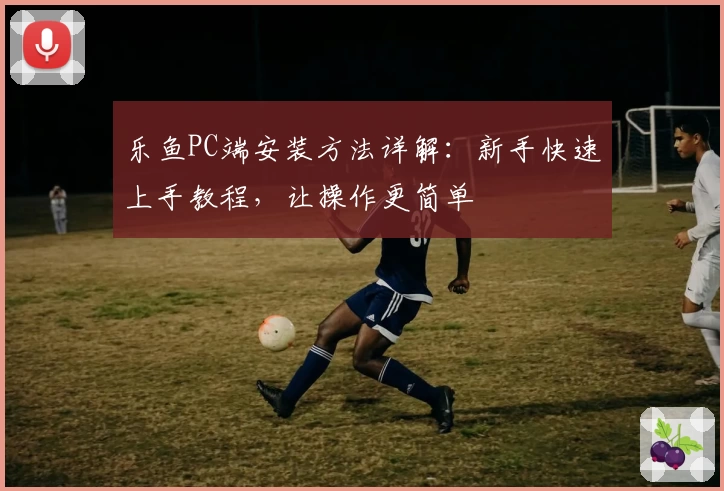 乐鱼PC端安装方法详解：新手快速上手教程，让操作更简单