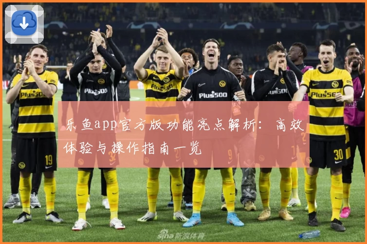 乐鱼app官方版功能亮点解析：高效体验与操作指南一览