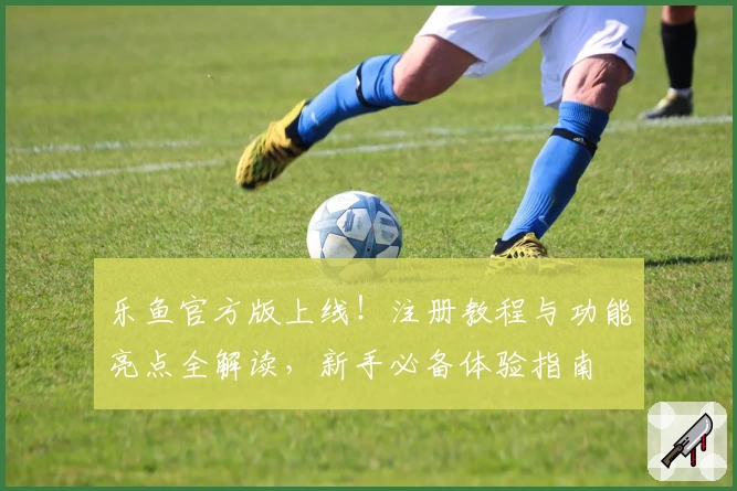 乐鱼官方版上线！注册教程与功能亮点全解读，新手必备体验指南