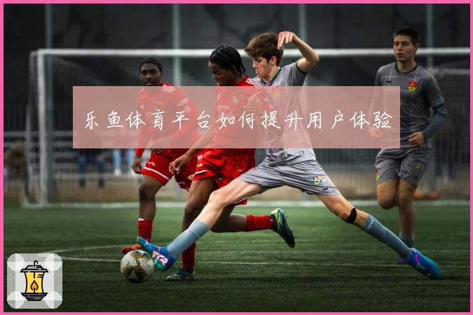 乐鱼体育平台如何提升用户体验