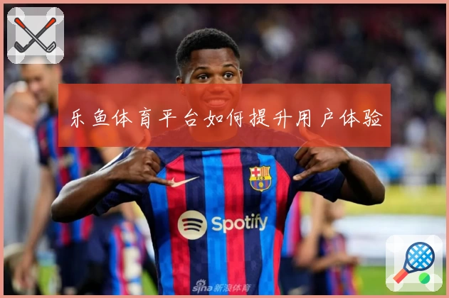 乐鱼体育平台如何提升用户体验