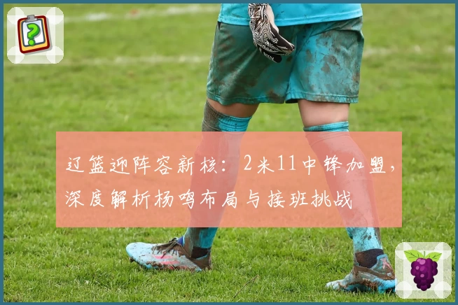 辽篮迎阵容新核：2米11中锋加盟，深度解析杨鸣布局与接班挑战