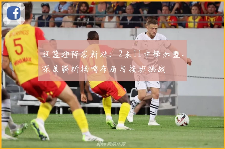 辽篮迎阵容新核:2米11中锋加盟,深度解析杨鸣布局与接班挑战