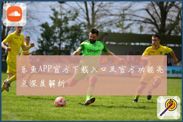 乐鱼APP官方下载入口及官方功能亮点深度解析