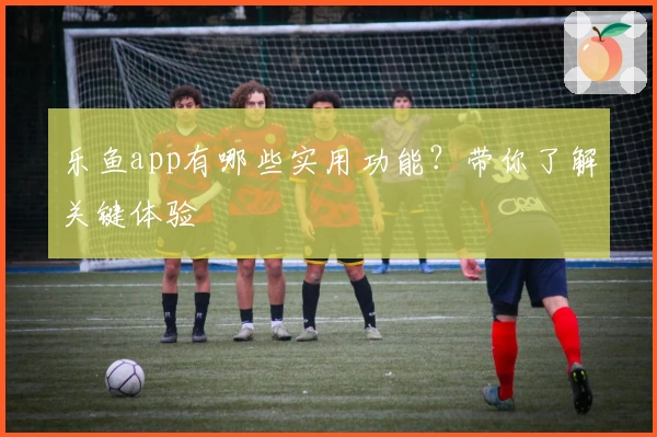 乐鱼app有哪些实用功能？带你了解关键体验